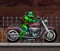 TMNT Ninja Turtle Bike