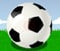 New Star Soccer