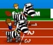 Zebra Racing