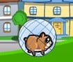 Downhill Hamsterball