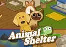 Animal Shelter