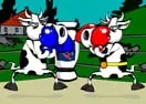 Jogar Cow Fighter