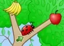 Fruity Bugs