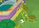 Jogar Turtle Pool