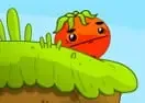 Jogar Feed Tomato