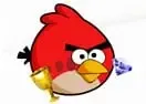Jogar Angry Birds Find Treasure