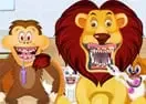 Jogar Animals Dentist
