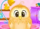Jogar Baby Owl Care
