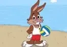 Beach Volleyball Game