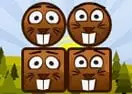 Beaver Blocks 2