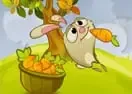 Jogar Carrot Rush