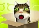 Jogar Cat Box Bowling
