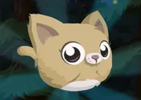Jogar Cat Jump