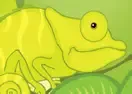 Jogar Chameleon Survival