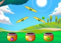 Jogar Fruit Collector