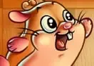 Jogar Cookie Hamster