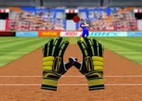 Jogar Cricket Fielder Challenge