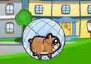 Jogar Downhill Hamsterball