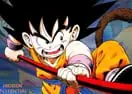 Dragon Ball Fierce Fighting