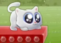 Jogar Extreme Kitten