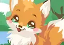 Jogar Fox Care