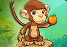 Jogar Fruit Monkey