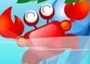 Greedy Crab