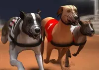 Jogar Greyhound Racing