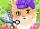 Jogar Groom that Kitty!