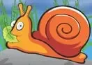 Hungry Snail