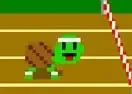 Hurdle Turtle: Flash!