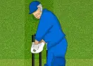 IPL Cricket 2013