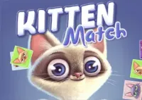 Jogar Kitten Match