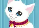 Jogar Kitty Care