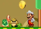 Mario Mushroom Adventure
