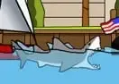 Jogar Miami Shark