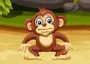 Monkeys Balance