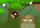 Jogar Monkie