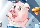 Jogar Mr. Pig