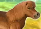 Jogar My Dear Pony