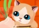 Jogar My Sweet Cat