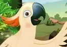 Jogar My Sweet Parrot