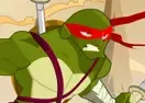 Jogar Ninja Turtle Stunts