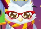 Jogar Owl Care