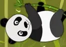 Panda Quest