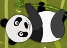 Jogar Panda Quest