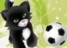 Pet Soccer