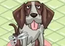 Jogar Puppy Grooming