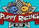 Puppy Racing