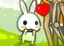 Jogar The Rabbit Fell In Love With The Wolf